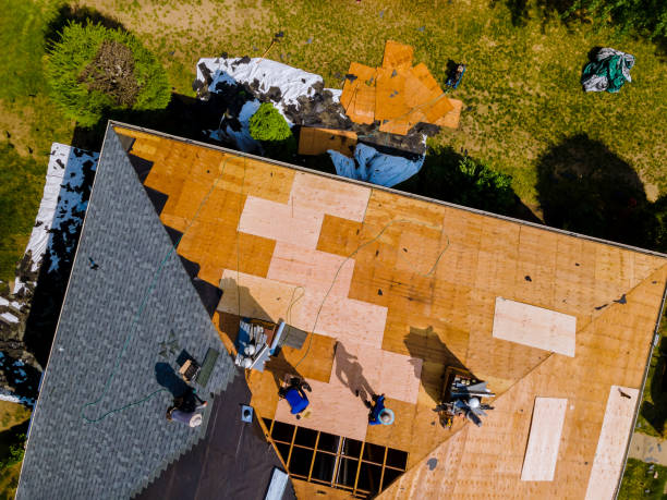 Best Roof Repair Services  in Collinwood, TN