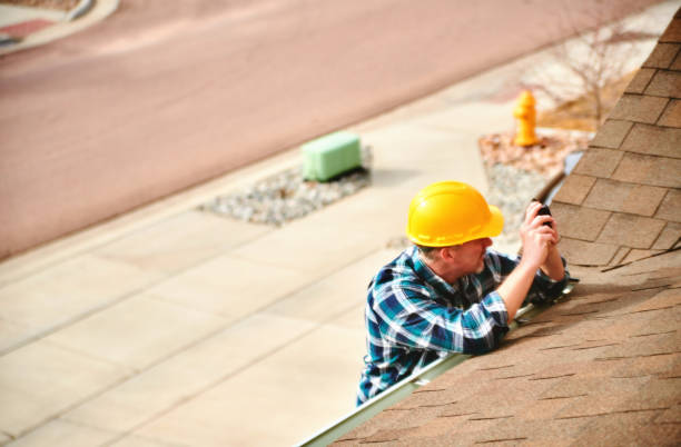 Best Roof Gutter Cleaning  in Collinwood, TN