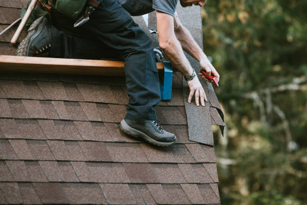 Professional Roofing Contractor in Collinwood, TN